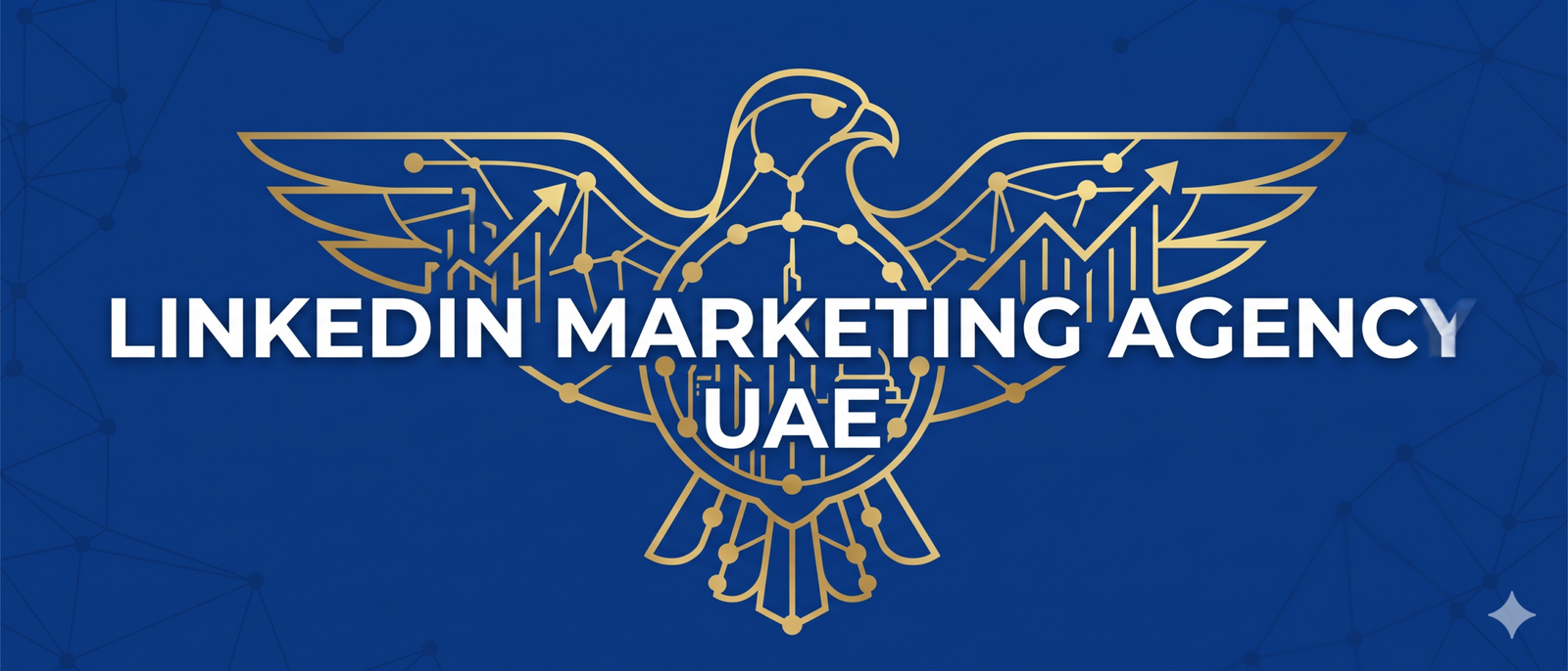 LinkedIn Marketing Agency UAE